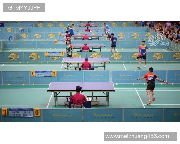 杭州乒乓球队的整体压制策略与深度解析乒乓球运动的魅力与挑战