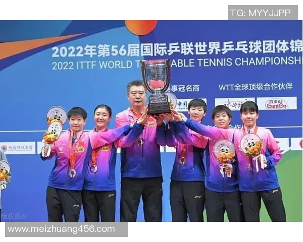 西安乒乓球队在全国锦标赛中的团队协作与默契表现分析