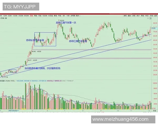 成都与杭州排球队赛后技术分析与战术复盘探讨 成都与杭州排球队赛后技术分析与战术复盘探讨