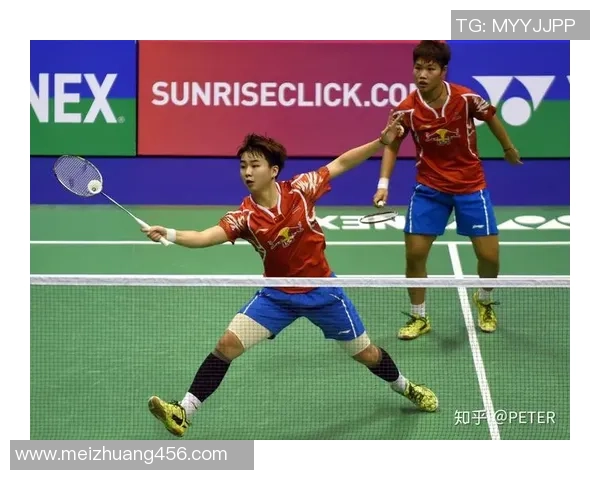 杭州羽毛球队区域防守策略创新探索与实践分析